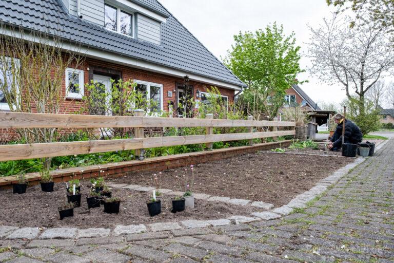 Ein Wildblumenbeet Richtig Anlegen Meerart