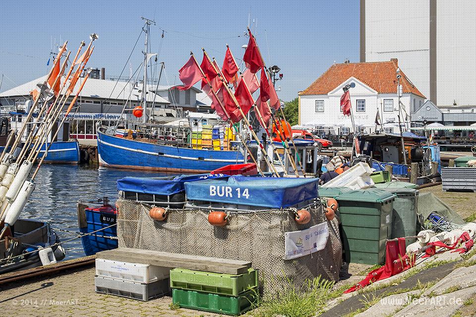 Der Erlebnis-Hafen Burgstaaken auf der schönen Ostseeinsel Fehmarn // Foto: MeerART