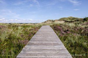 Eine grandiose InselAuszeit auf Amrum mit einer ganz besonderen Überraschung // Foto: Ralph Kerpa