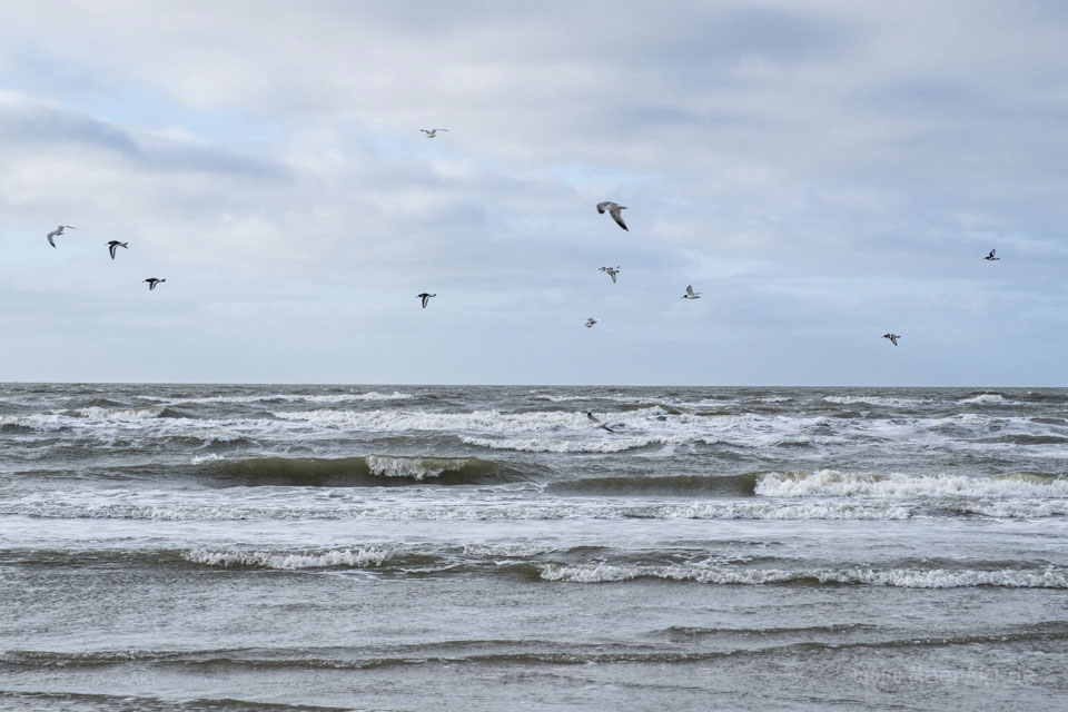 Endlich wieder am Meer – ein Kurztrip auf die dänische Nordseeinsel Rømø im Winter // Foto: MeerART