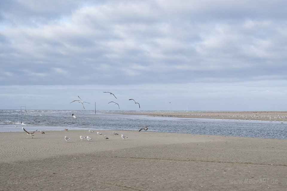 Endlich wieder am Meer – ein Kurztrip auf die dänische Nordseeinsel Rømø im Winter // Foto: MeerART