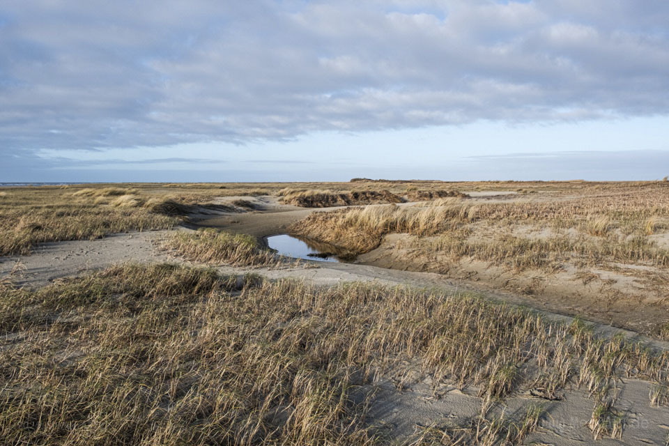 Endlich wieder am Meer – ein Kurztrip auf die dänische Nordseeinsel Rømø im Winter // Foto: MeerART