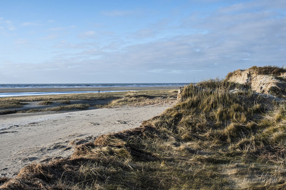 Endlich wieder am Meer – ein Kurztrip auf die dänische Nordseeinsel Rømø im Winter // Foto: MeerART