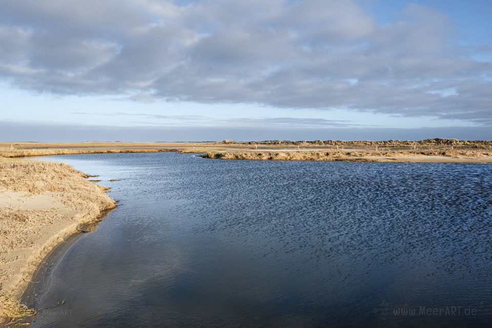 Endlich wieder am Meer – ein Kurztrip auf die dänische Nordseeinsel Rømø im Winter // Foto: MeerART